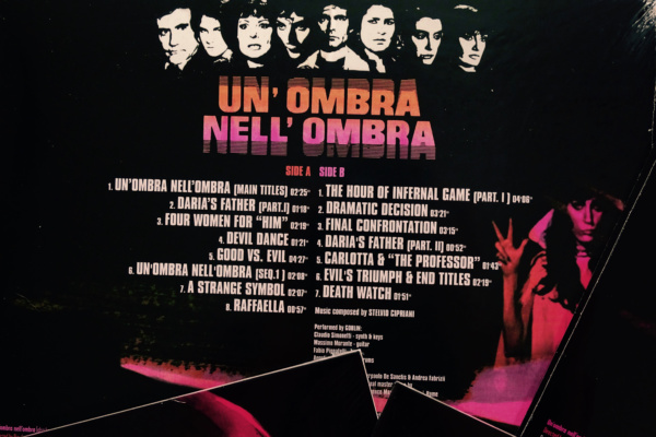 un'ombra nell'ombra cipriani 3