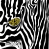 afro discoteca front 1