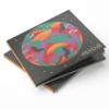 伊LP Psyche Psyche FLIES59 Four Flies Records /00260 FLIES-59-Mock-up.jpeg